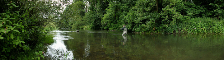 Gast-Angler an der Wenne in Wenholthausen, Sauerland